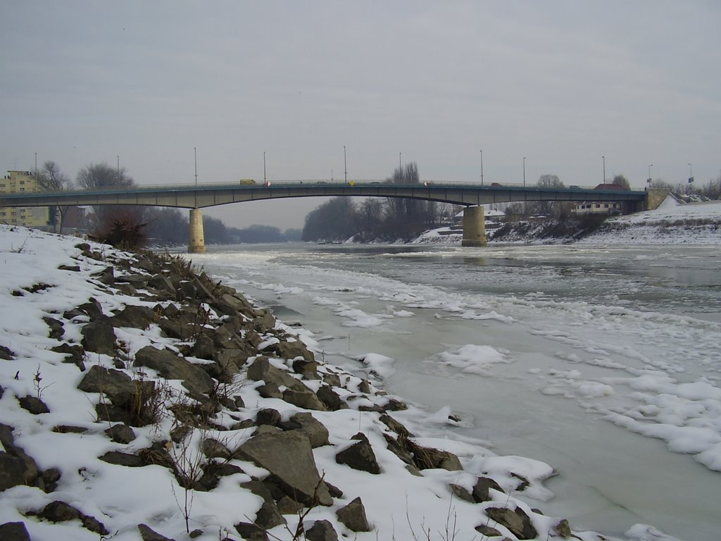 Híd a Tiszán, Szolnoknál