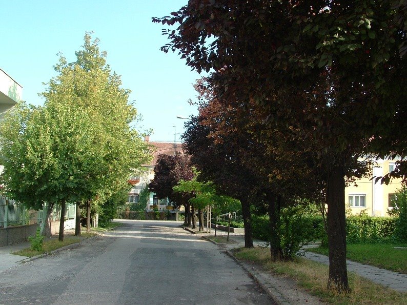 Tavasz_u