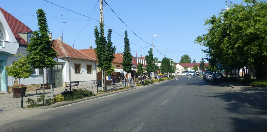 SoltvadkertKossuth Lajos utca