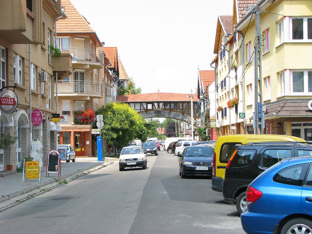 Kecskemet-Hausbrücke  über die Köhid Utca