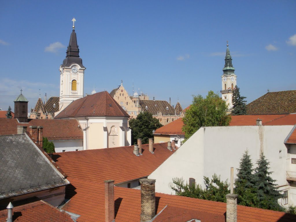Kecskeméti tetők