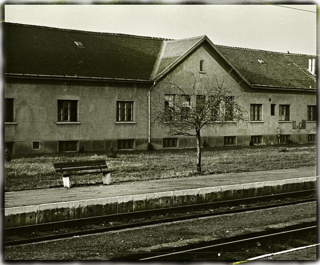 Kiskunfélegyháza