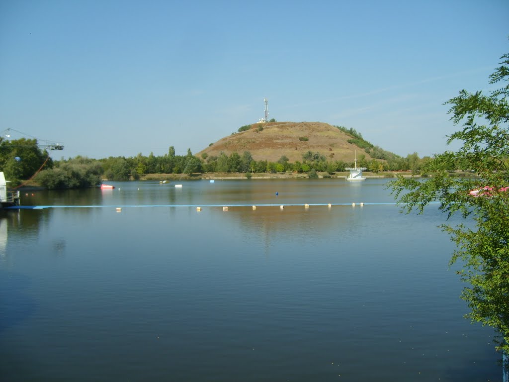 Vizisí pálya