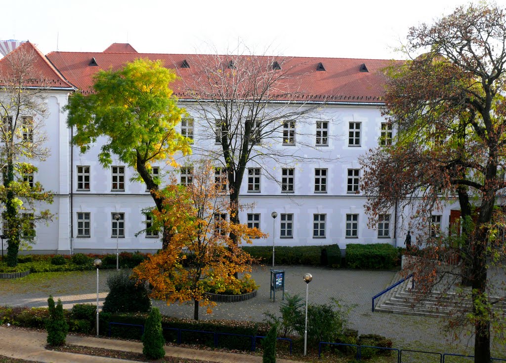 Kecskemét, Kodály Iskola épülete