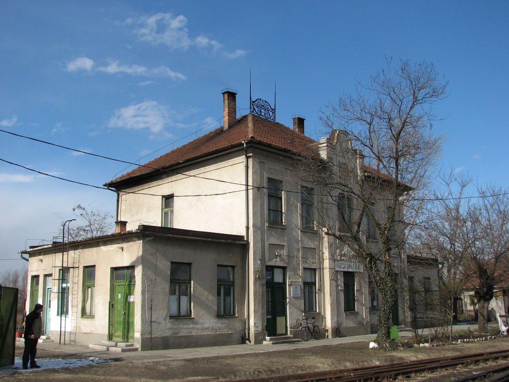 Kecskemét kisvasúti állomás