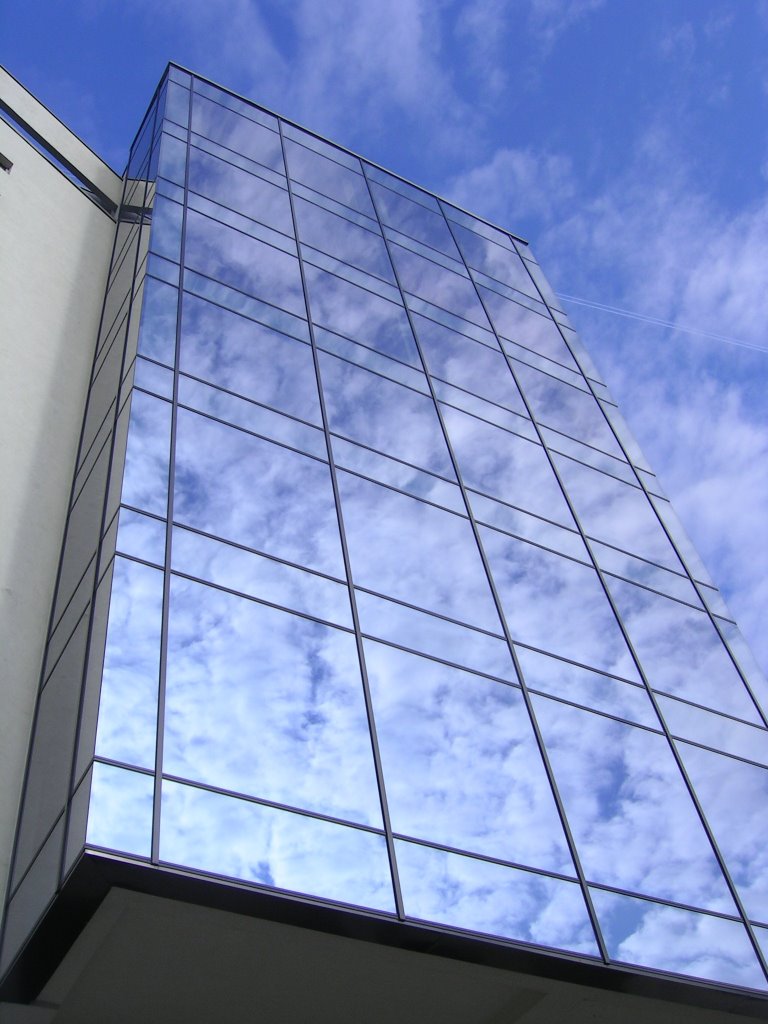 Tükröződés (Reflection), Magyarország