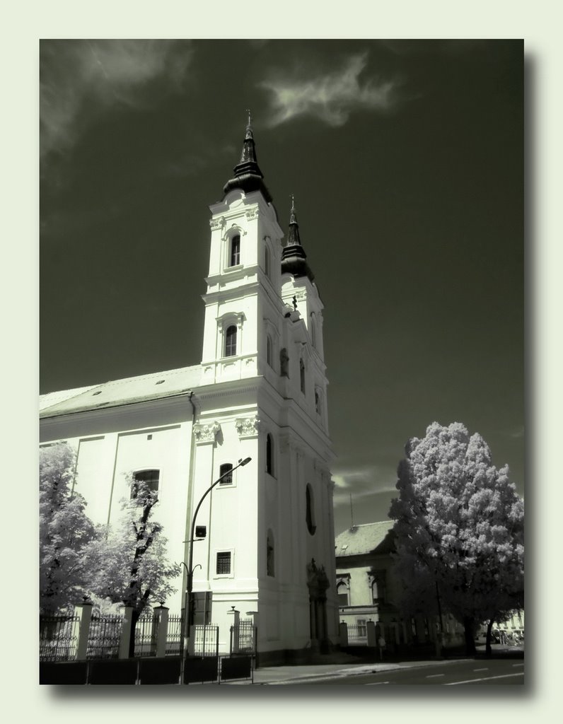 Mindszenti templom (Szent Péter és Pál apostol templom), Miskolc