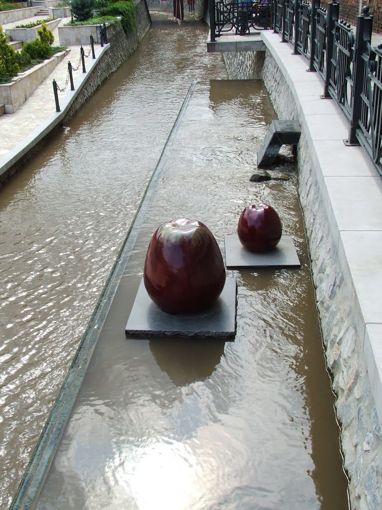 Úszó almák (Swimming Apples)