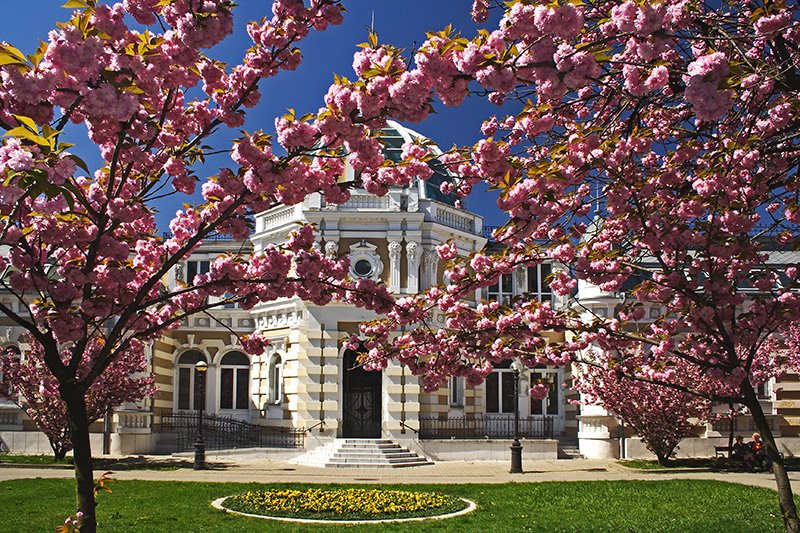 Tavaszi színek - Colors of Spring (2007)