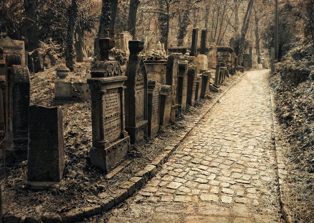 Az út / The way (Avasi református temető/ Avas protestant cemetery)