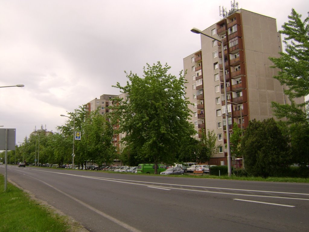 Socialist prefabs, 18.May,2008