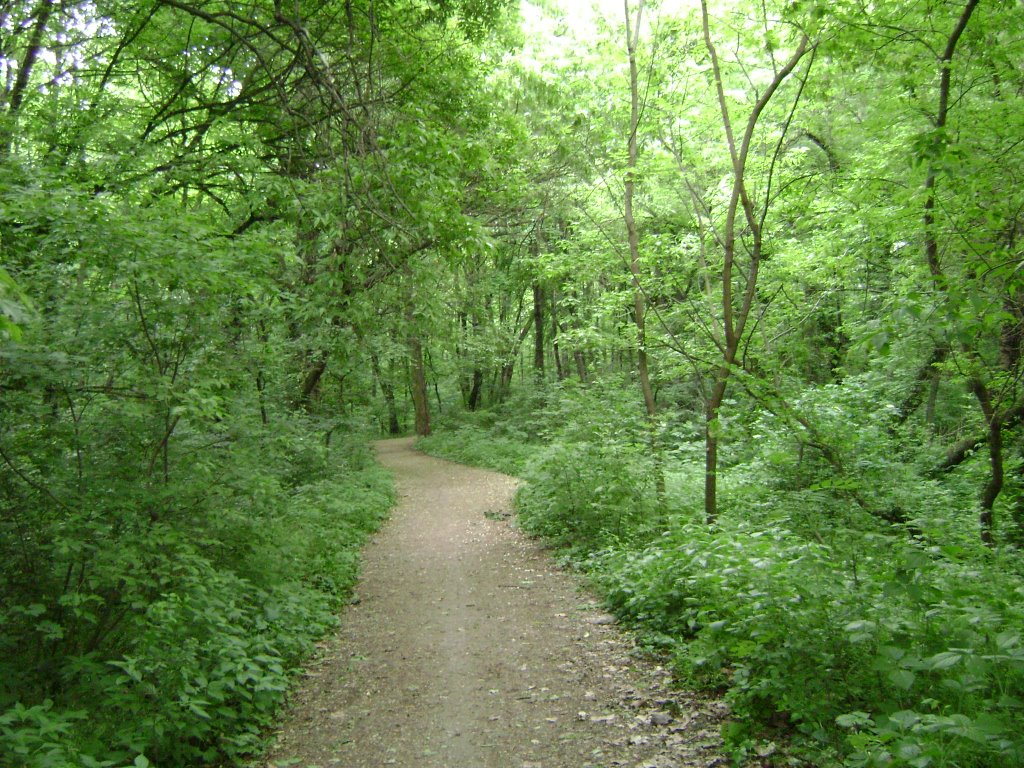 Witmann Antal Park, 18.May,2008