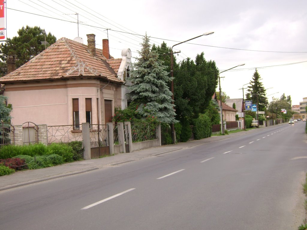 Kossuth Str., 18.May,2008