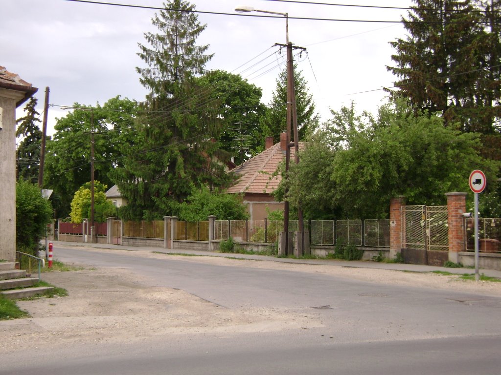 Lőpor utca - Cordite Str., 18.May,2008