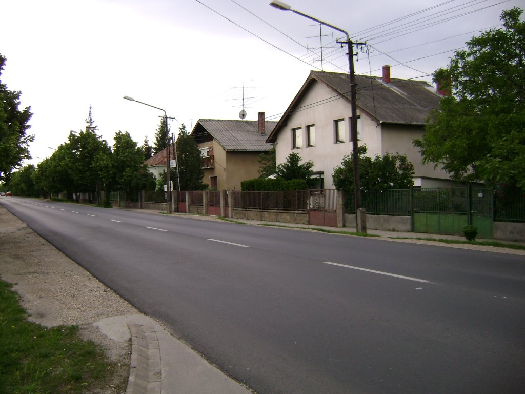 Kossuth Str., 18.May,2008