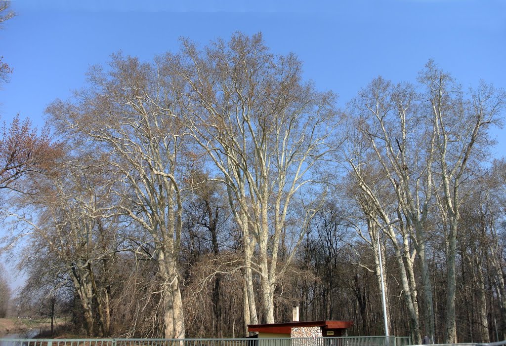 MOSONMAGYARÓVÁR
