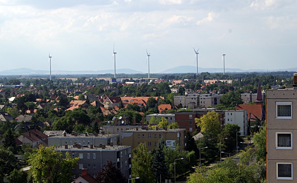Panorama