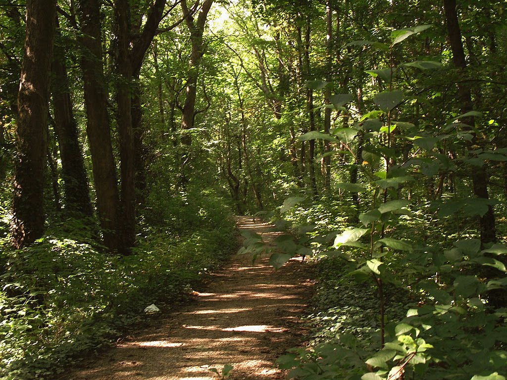 Hamuliakovo