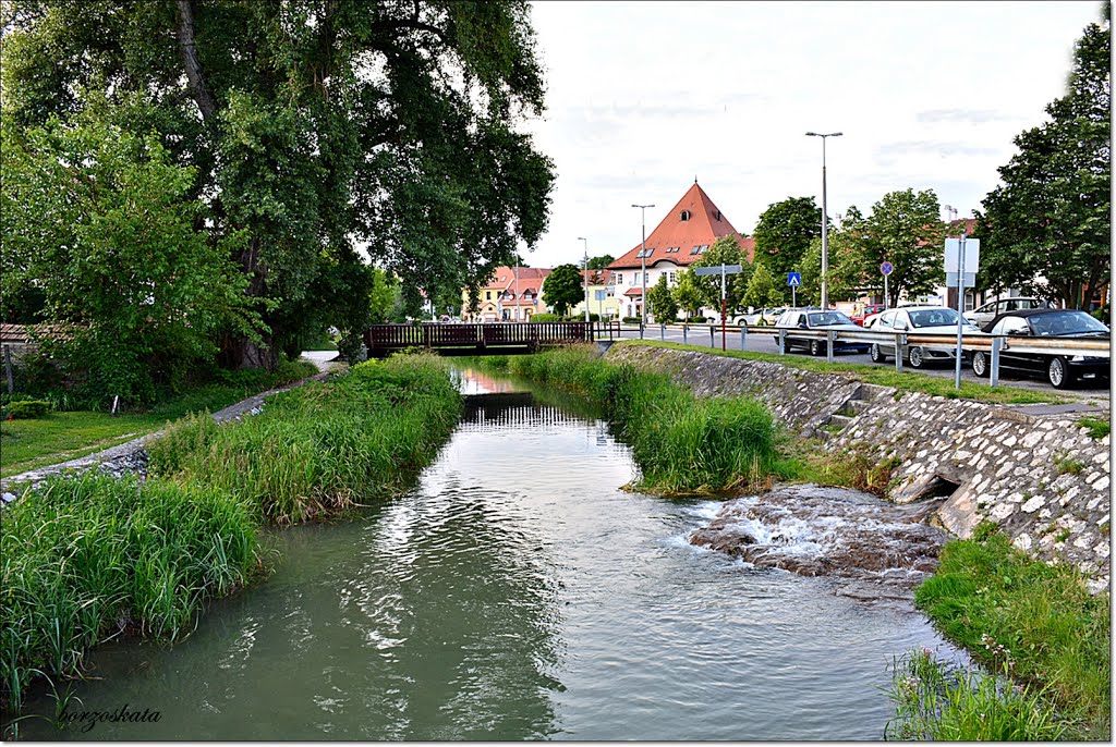 Mosonmagyaróvár