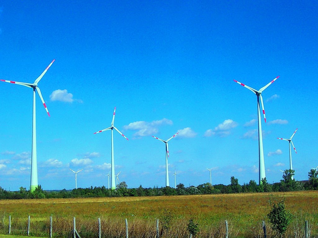 Megújuló energia.