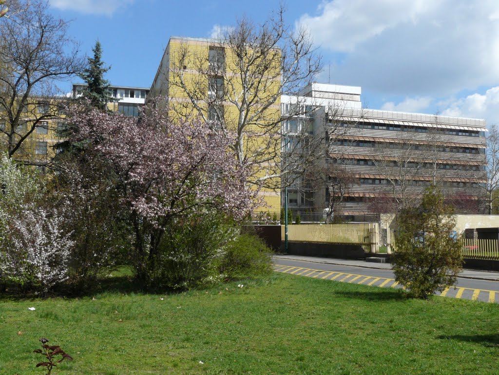 Szent Pantaleon Kórház,Dunaújváros
