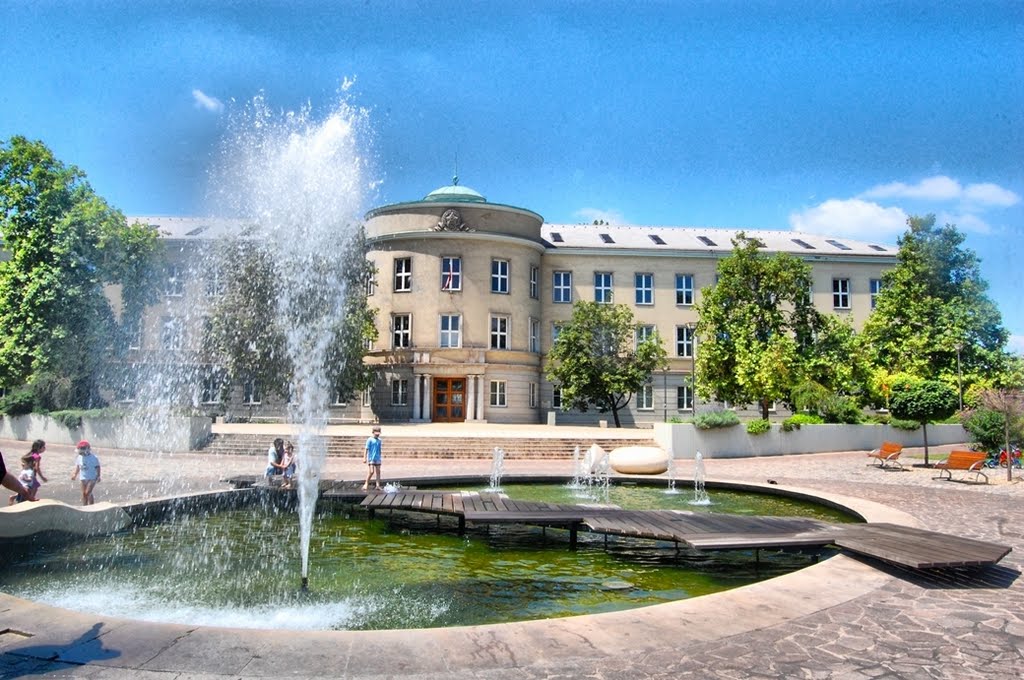 A Dunaújvárosi Főiskola