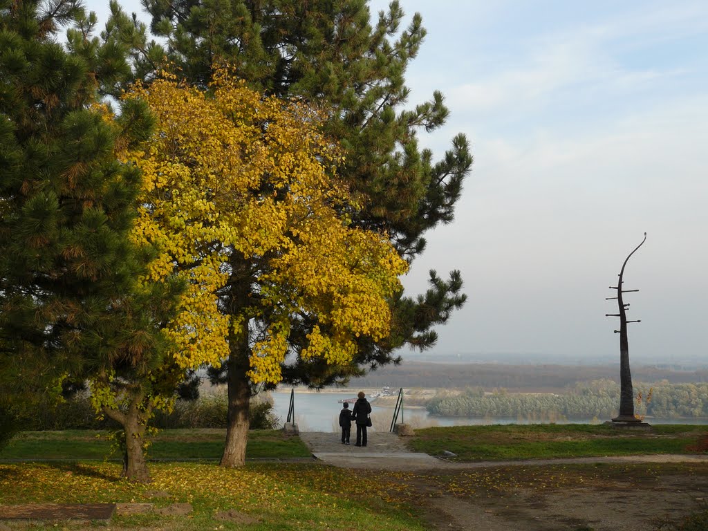 Walk on the riverbank