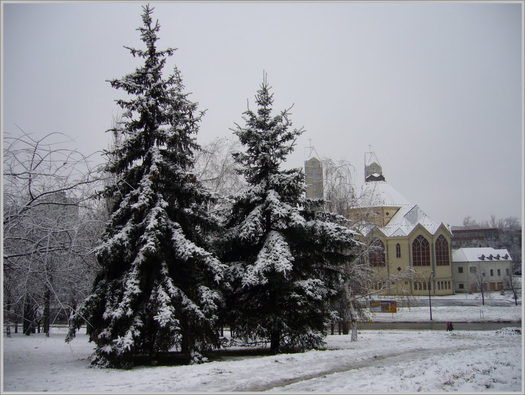 The first snow in the city