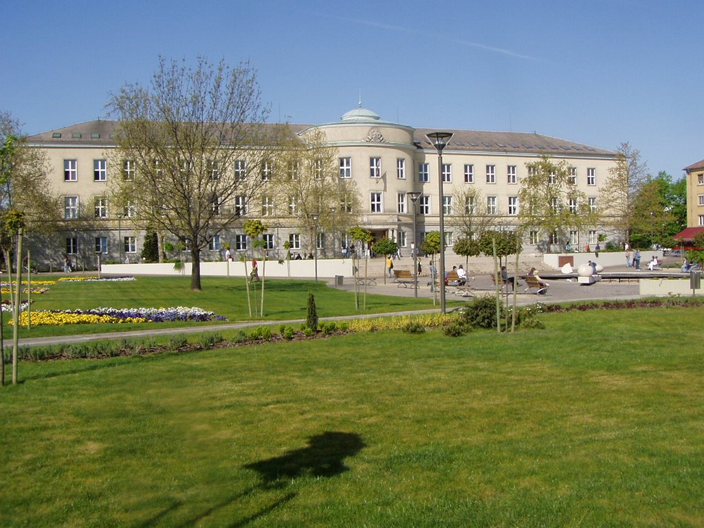 Főiskola DF Dunaújváros