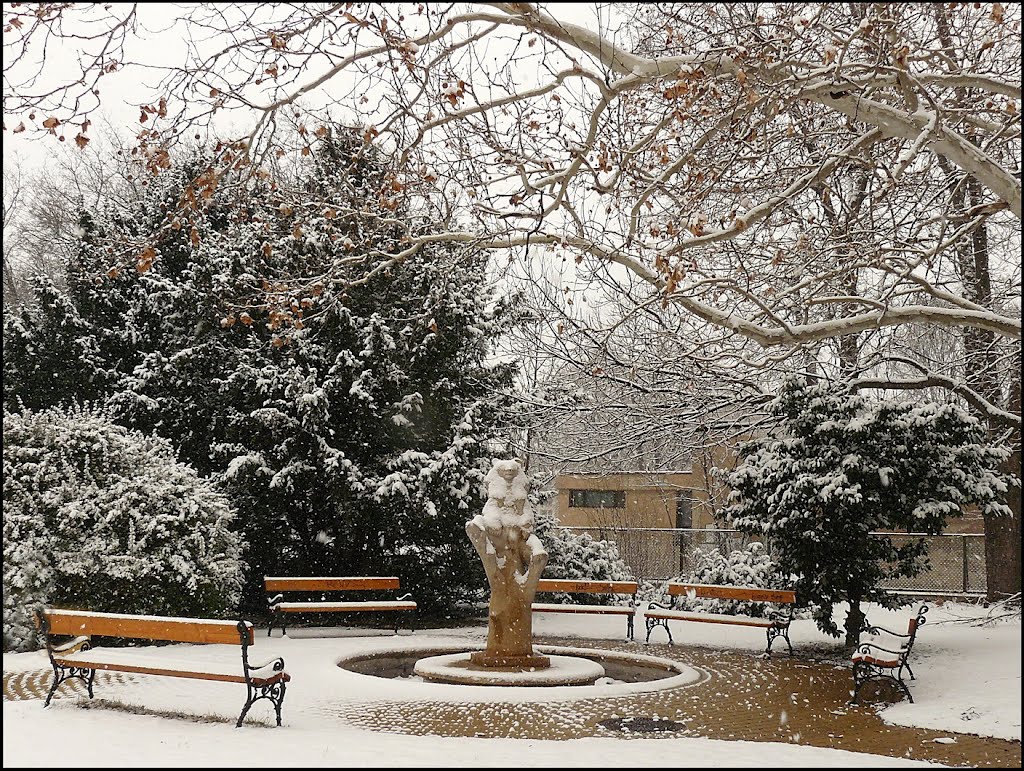 Havas  mackó (Snowy bear)