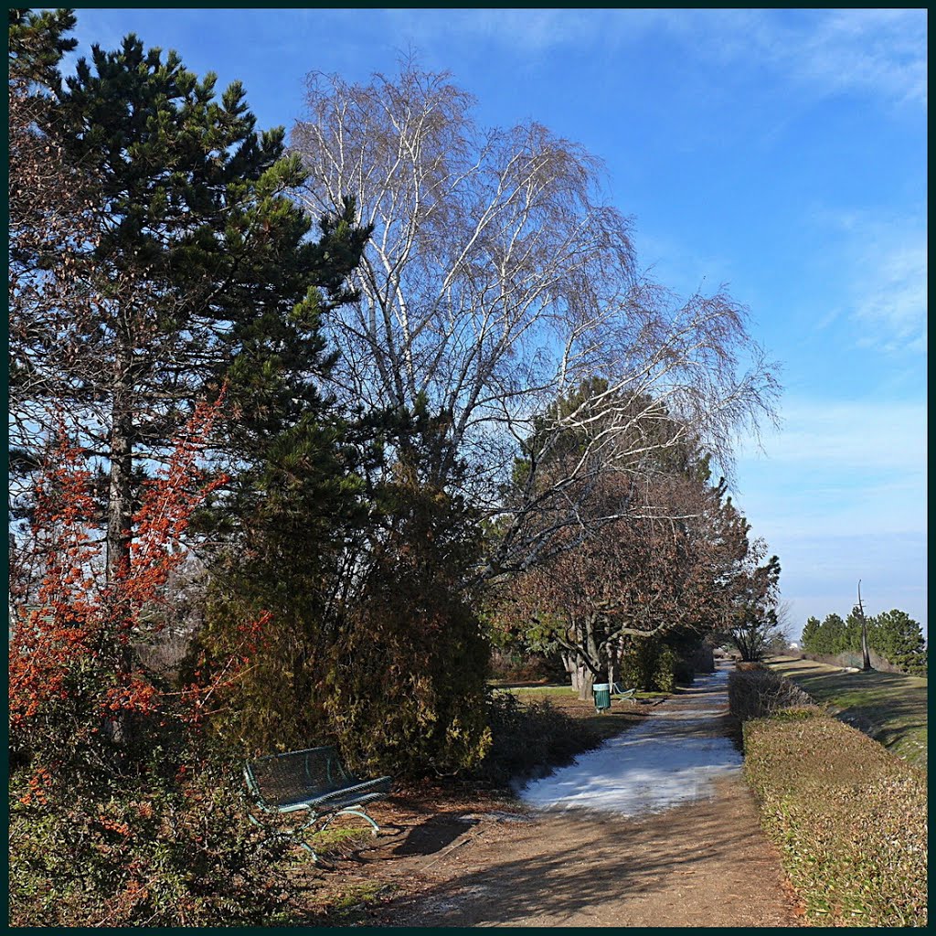 January sunshine