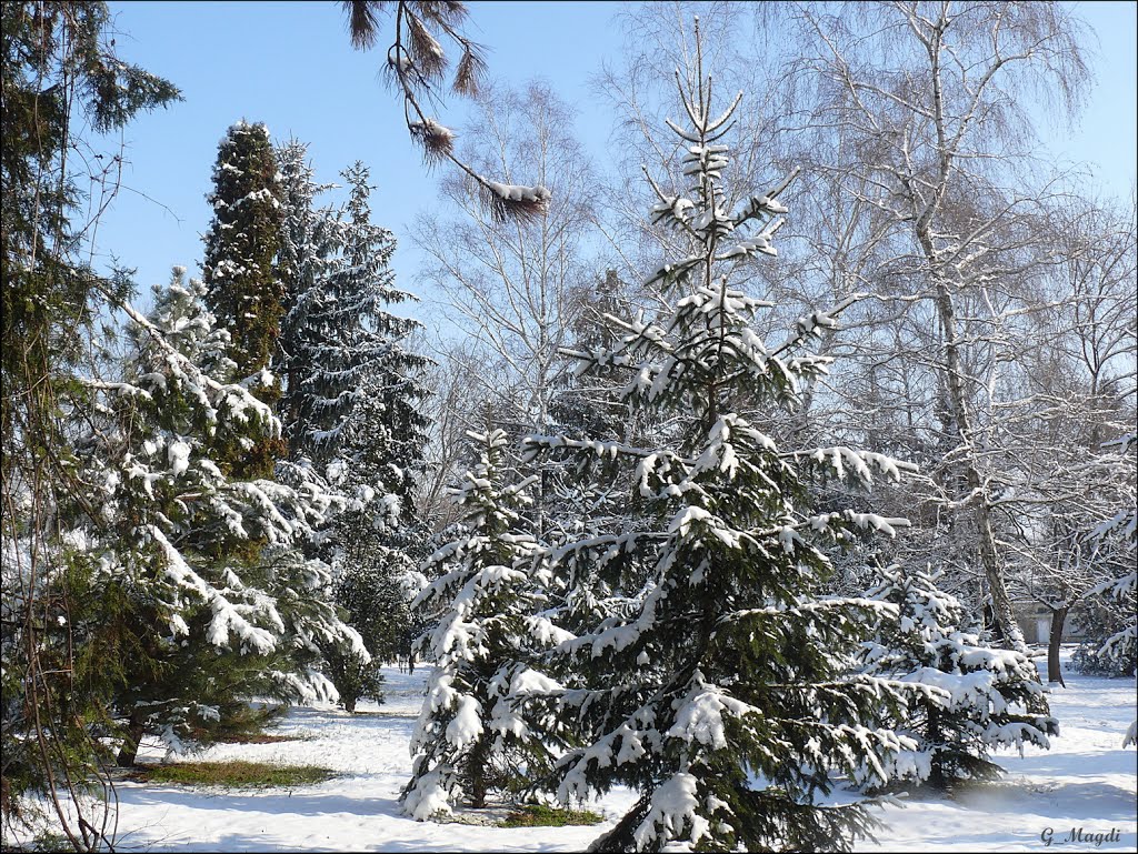 Winter  sunshine