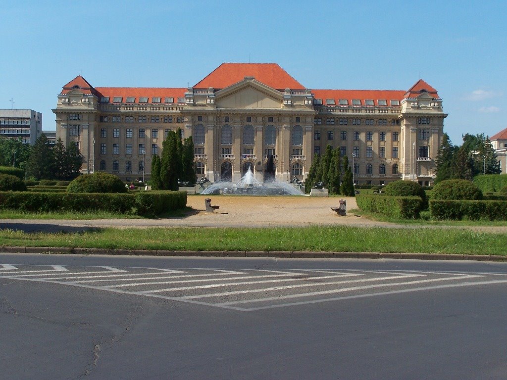 Debrecen, Egyetem