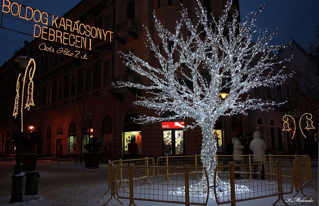 Boldog Karácsonyt Barátaim!  /Merry Christmas my friends!/