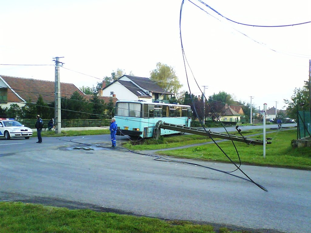 Busz vs. pózna