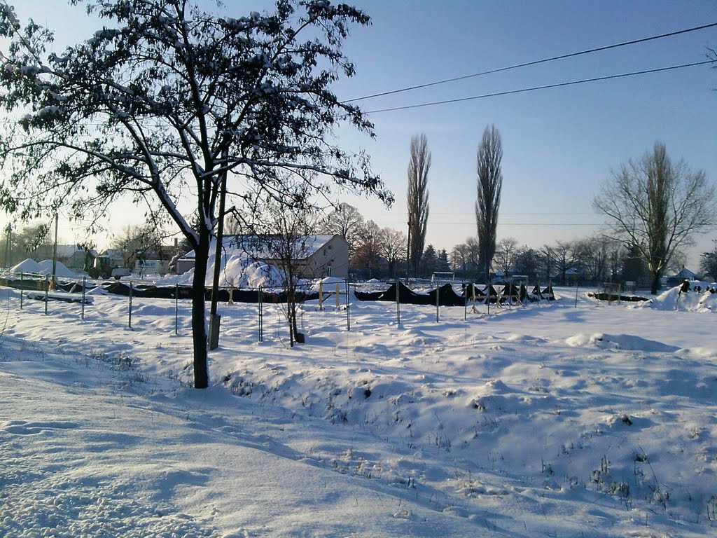 Sportcsarnok 33