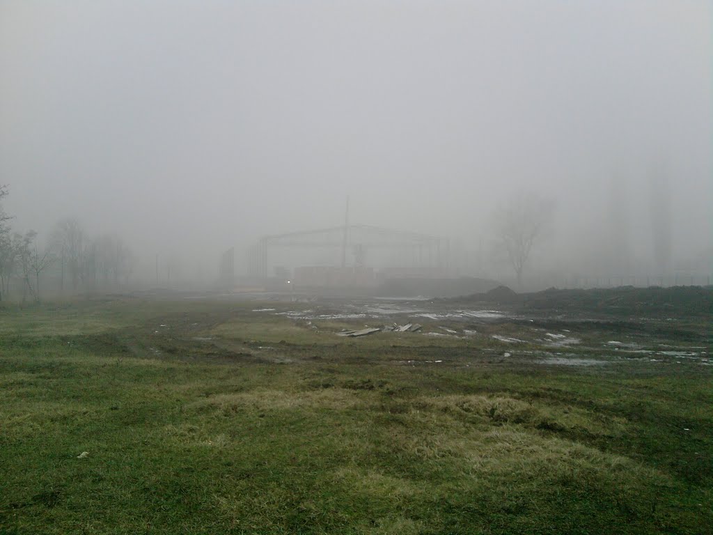 Sportcsarnok 50