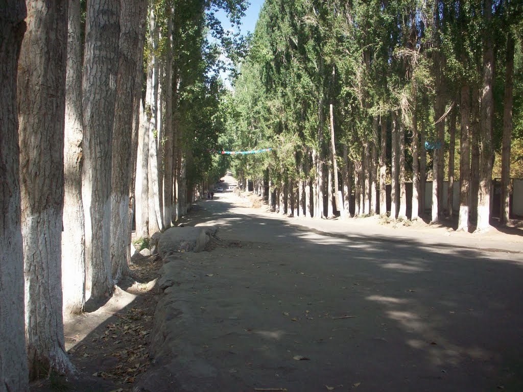 main street in ishkishim