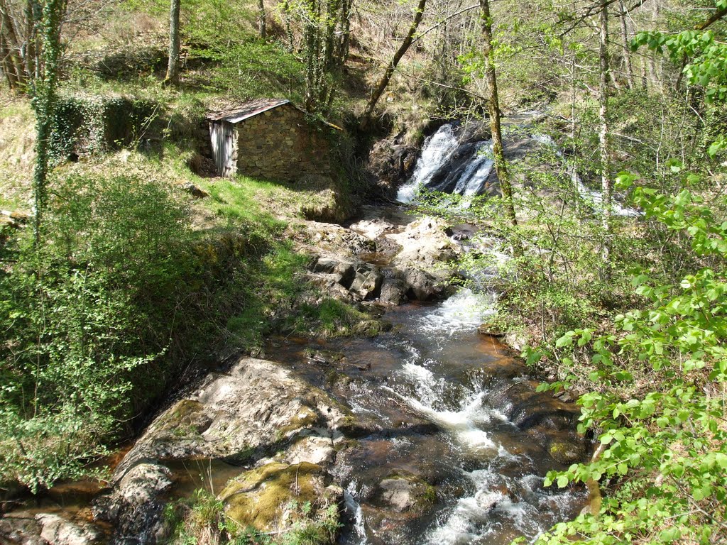 le tanaret