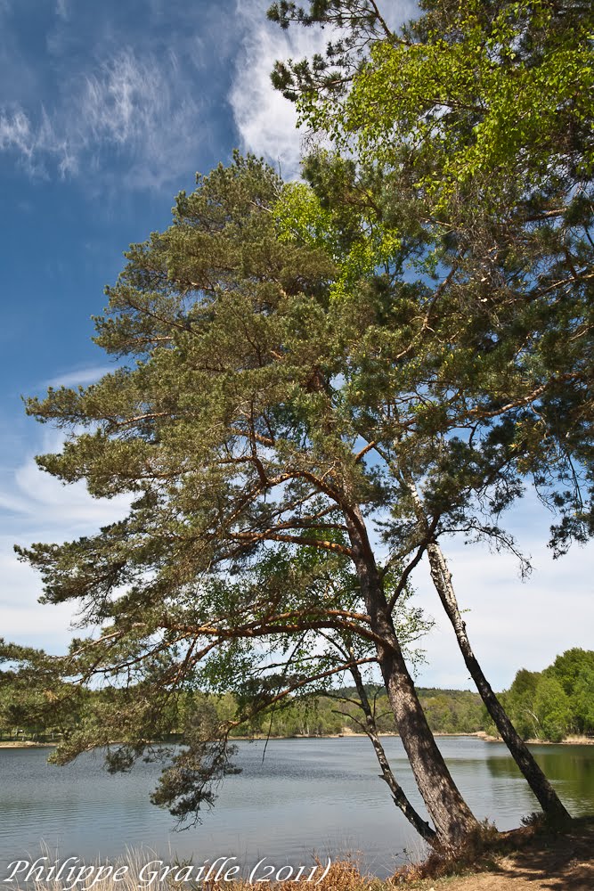Saint-Mexant