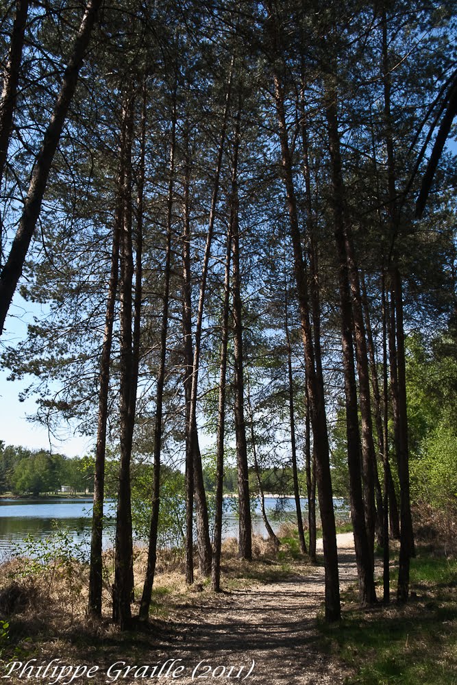 Lac de Miel (Corrèze)