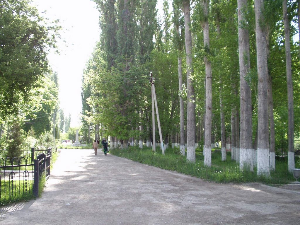 Khorog public garden, near Aga-Khan Fund. Tajikistan