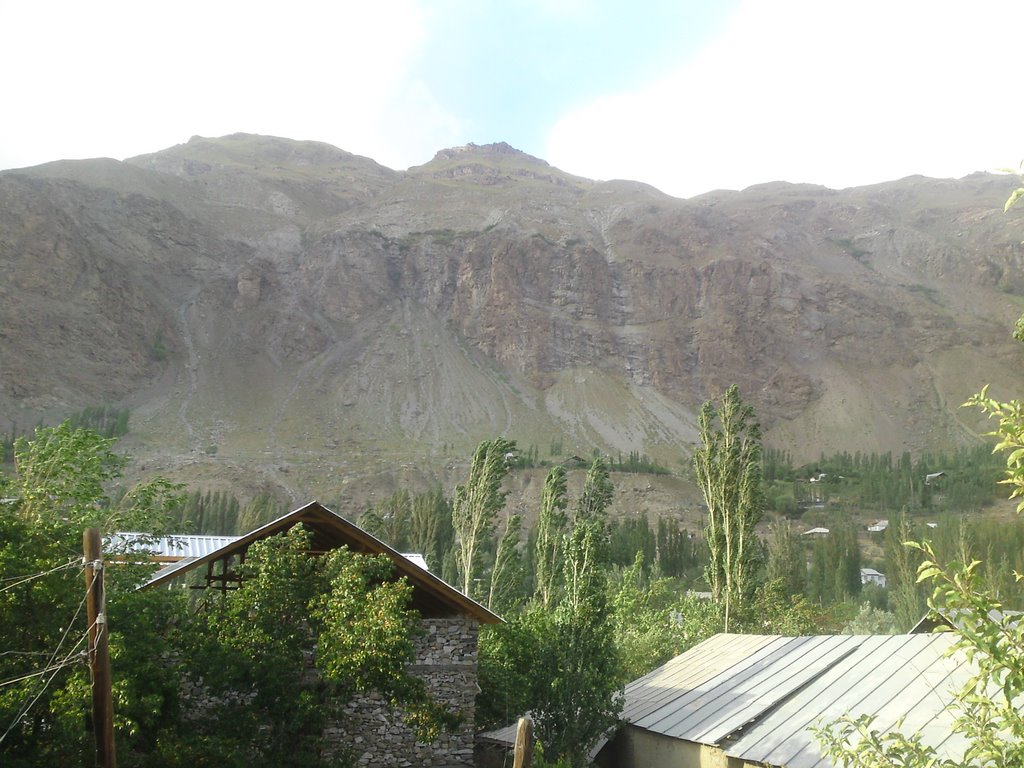 View from my House