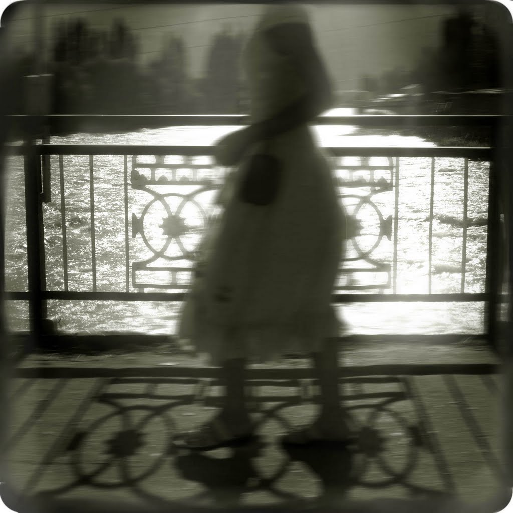 the whirl