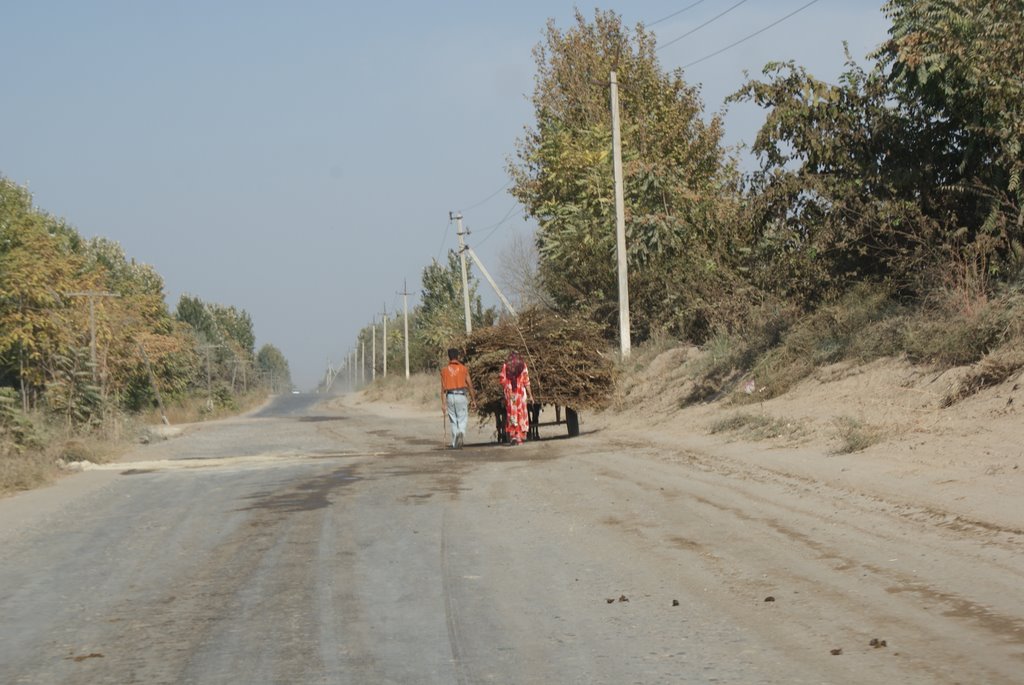Road Scene