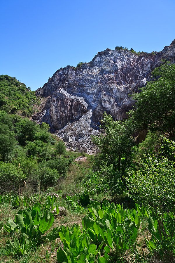 Hoja Mumin Salt Mountain by EY8MM