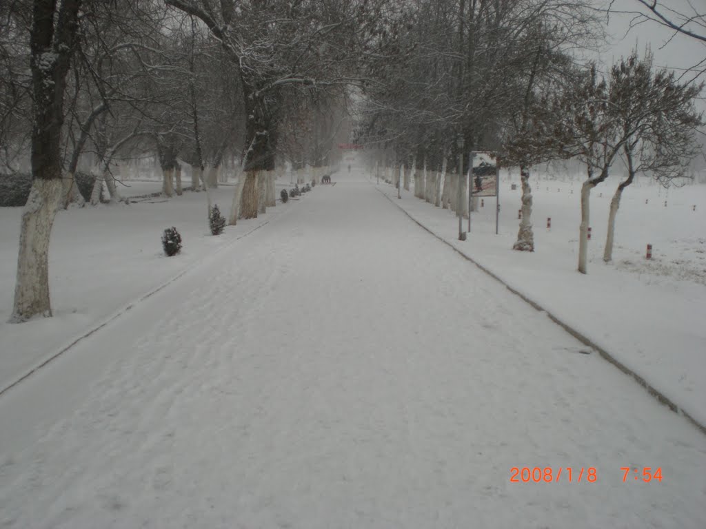 От парка к штабу