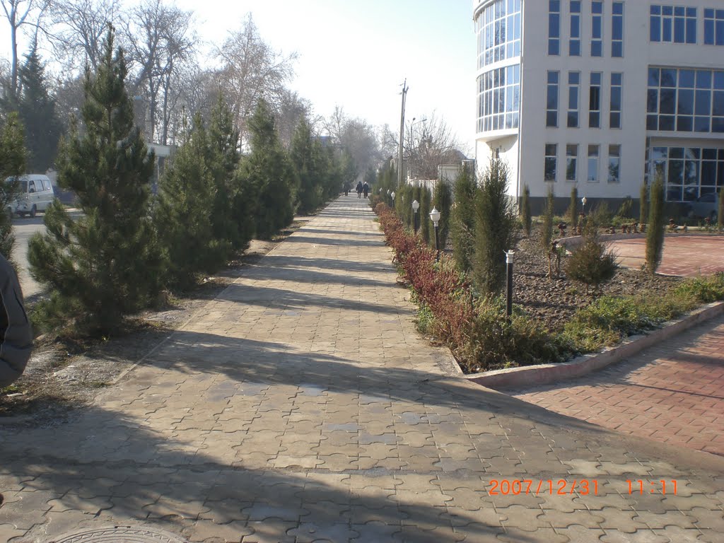 Новый год