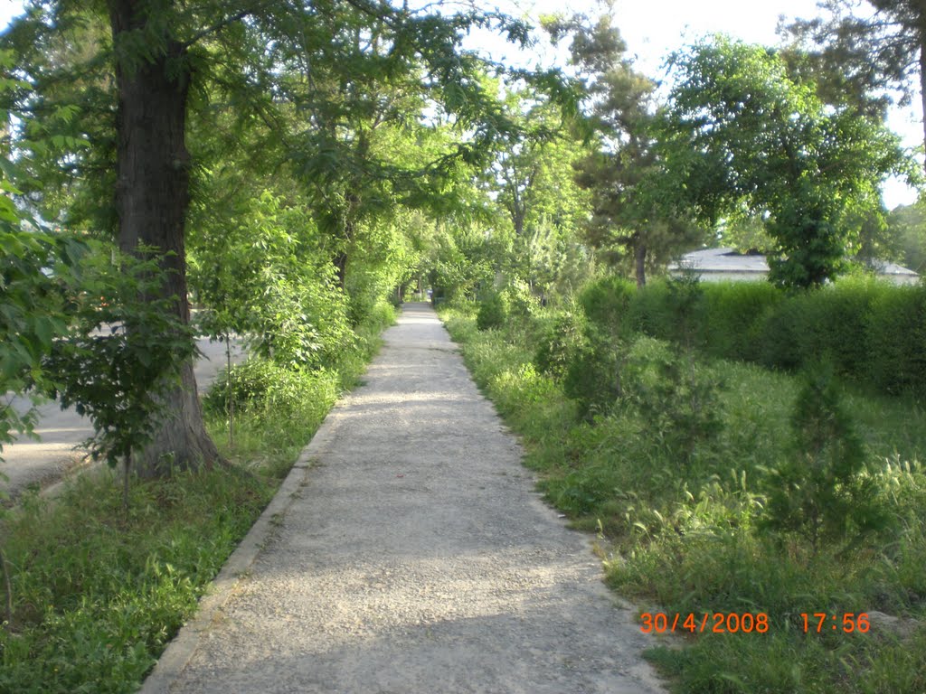 Аллея