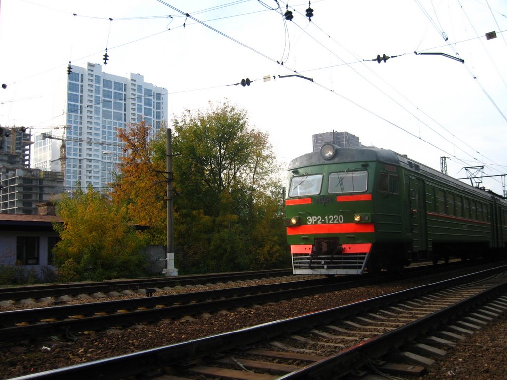 Train